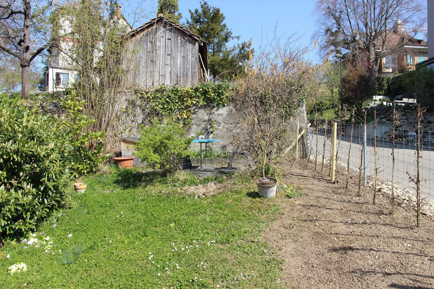 L'appartamento cerca amanti del giardino - Foto 8 di 8