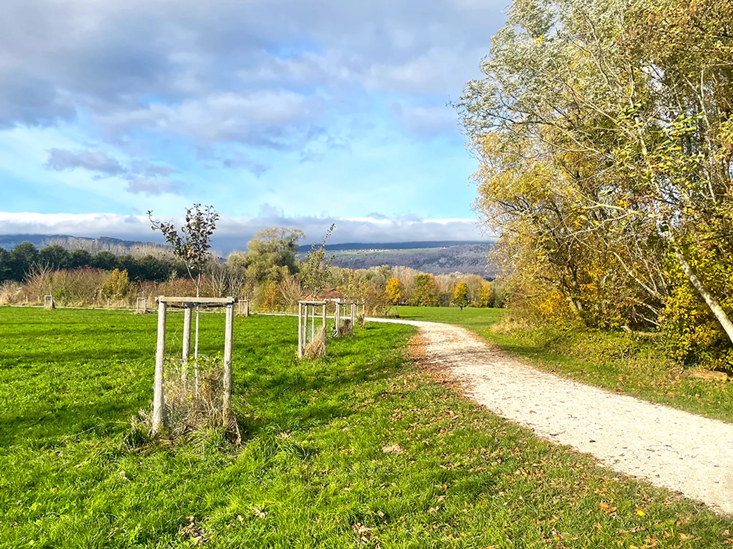YVERDON-LES-BAINS OUEST - ADORABILE CASA VILLAGESE - Foto 4 di 6