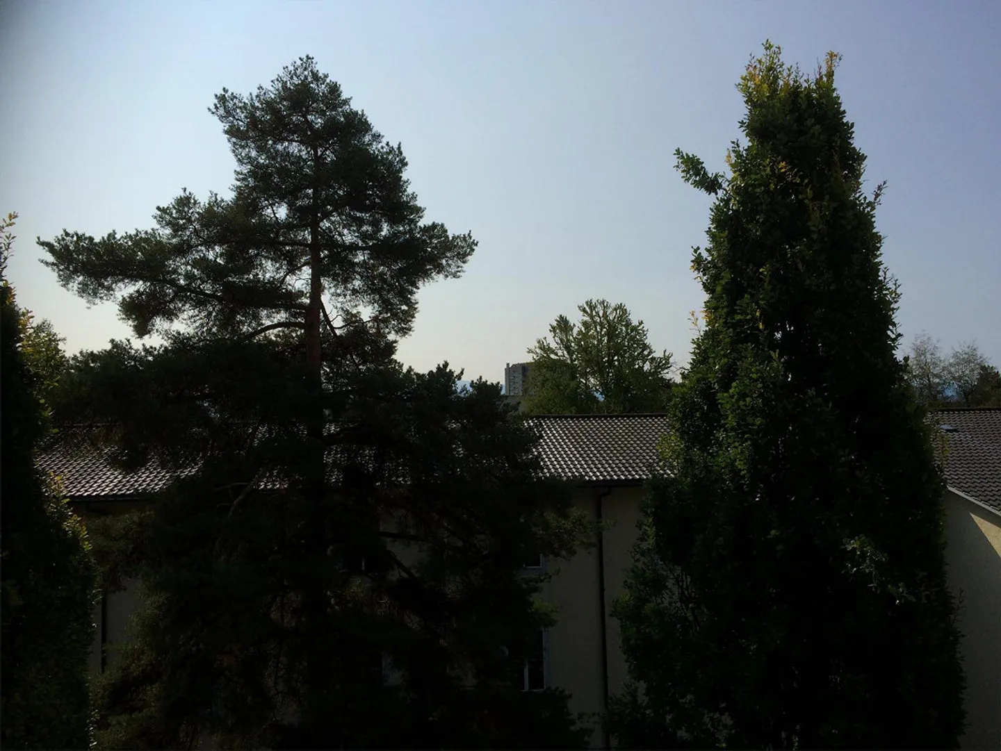 Appartamento 3.5 camere tranquillo e centrale a Wetzikon - Foto 3 di 9