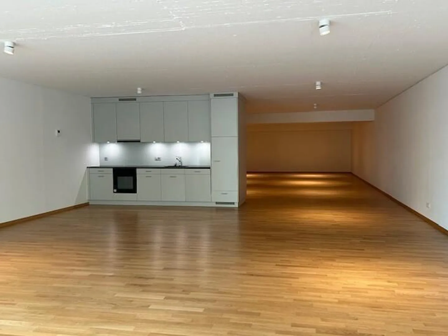 1-Zimmer-Wohnung / Atelier / Büro (162 m2) - Im Zentrum von St. Gallen - Foto 3 von 5