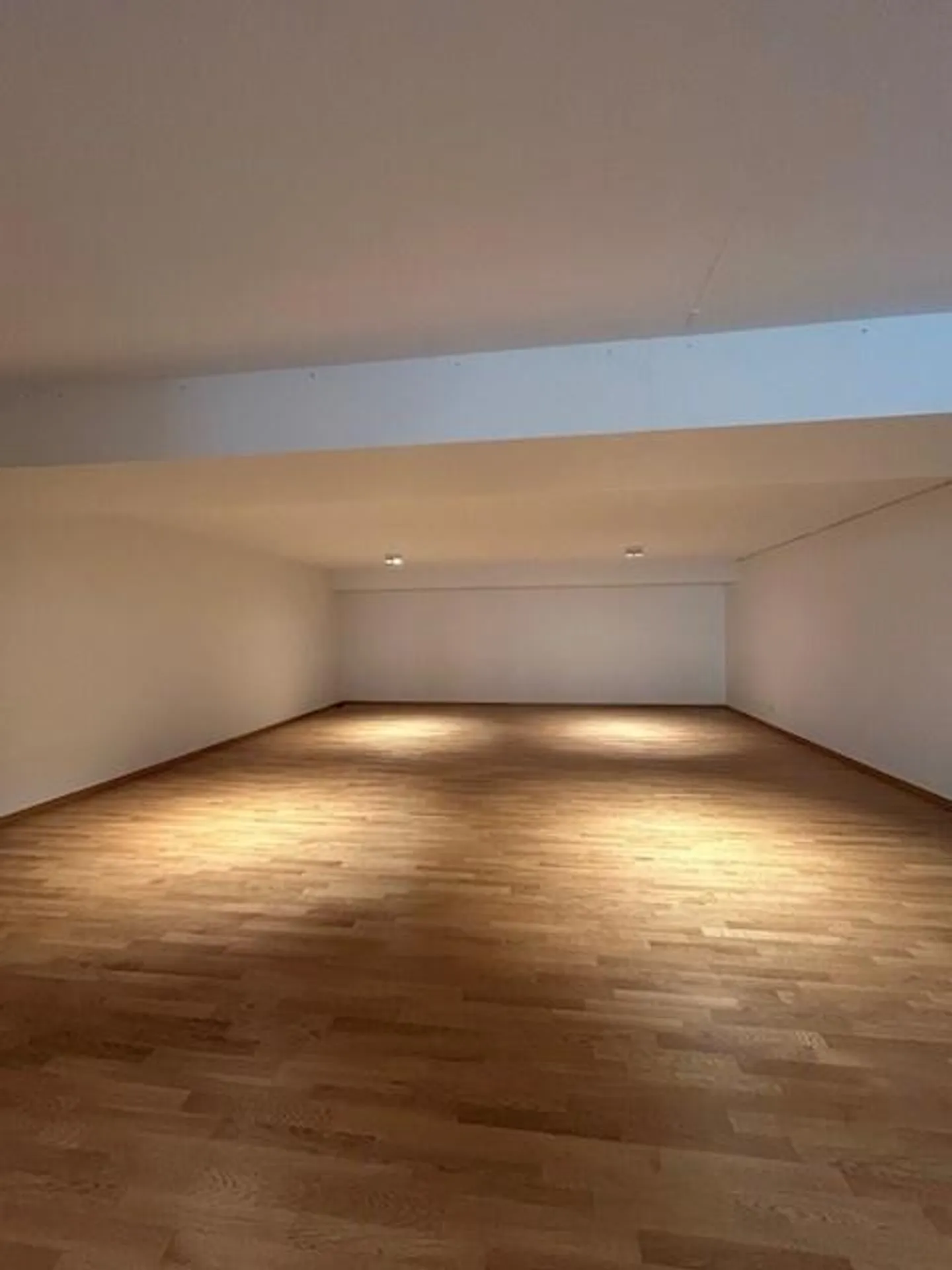 1-Zimmer-Wohnung / Atelier / Büro (162 m2) - Im Zentrum von St. Gallen - Foto 4 von 5