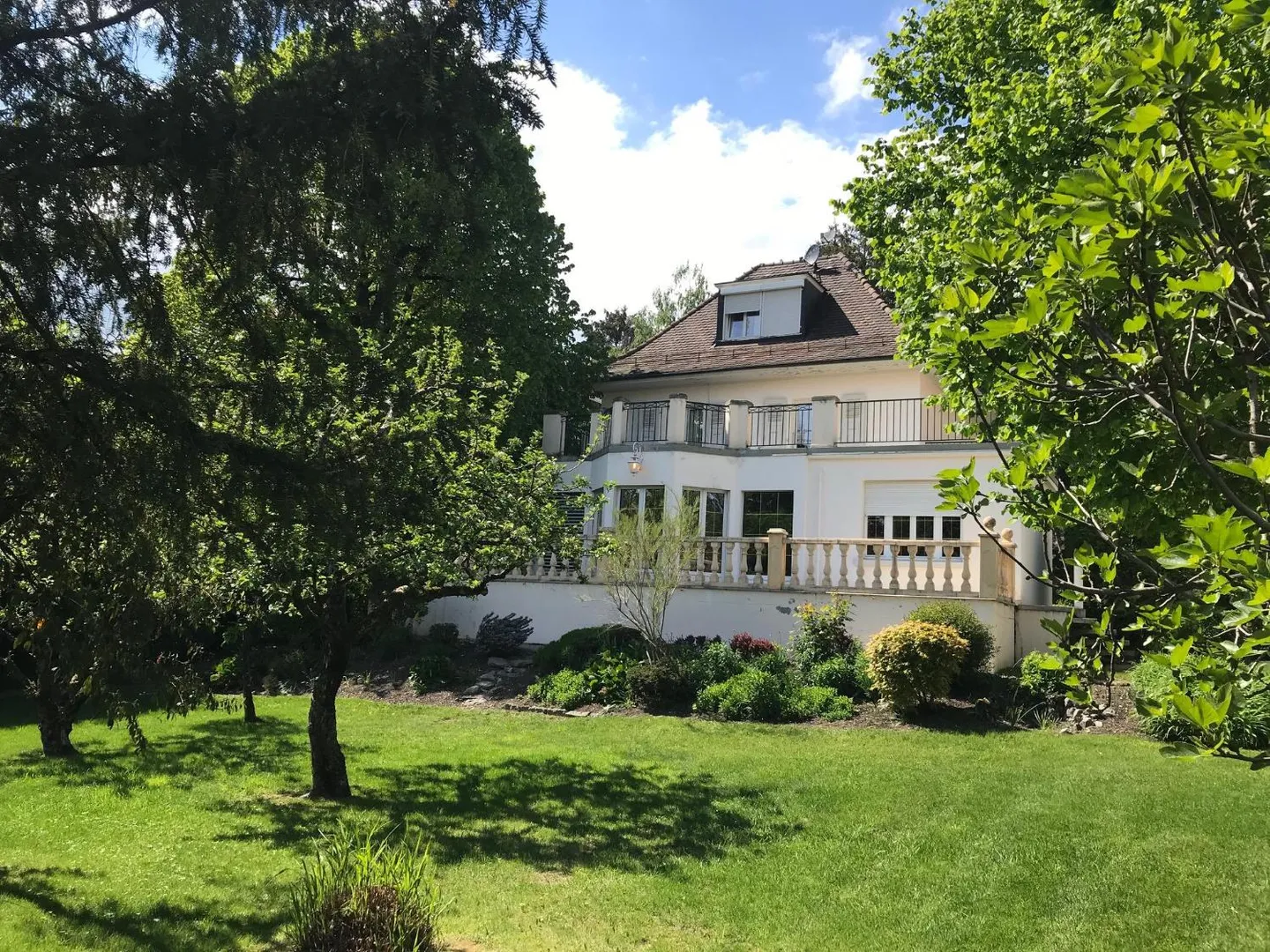 BELLISSIMA VILLA DI 9 CAMERE A PETIT SACONNEX CON GRANDE GIARDINO E TRANQUILLA - Foto 1 di 13
