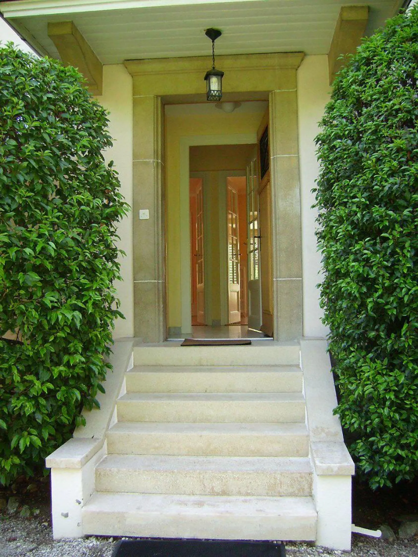 BELLISSIMA VILLA DI 9 CAMERE A PETIT SACONNEX CON GRANDE GIARDINO E TRANQUILLA - Foto 2 di 13