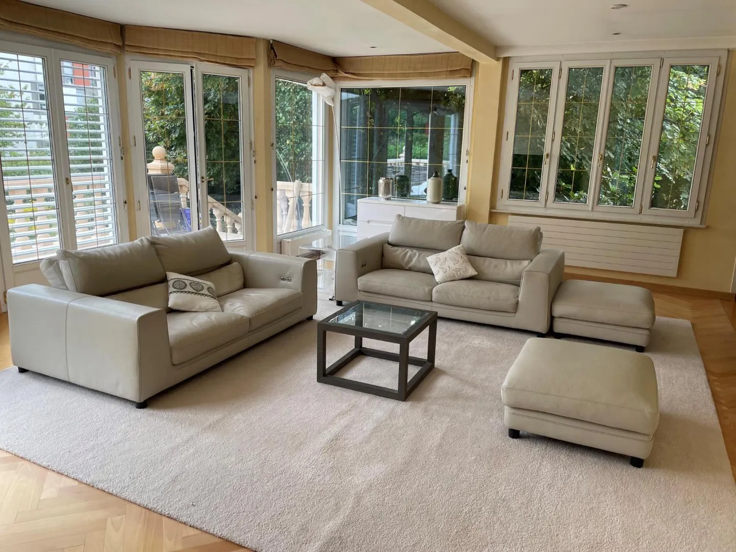BELLISSIMA VILLA DI 9 CAMERE A PETIT SACONNEX CON GRANDE GIARDINO E TRANQUILLA - Foto 3 di 13