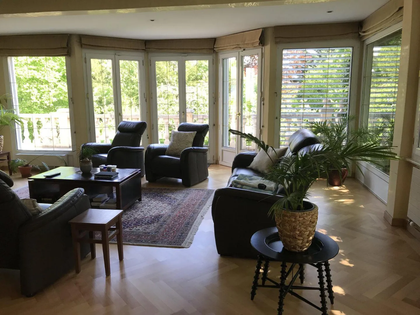 BELLISSIMA VILLA DI 9 CAMERE A PETIT SACONNEX CON GRANDE GIARDINO E TRANQUILLA - Foto 5 di 13