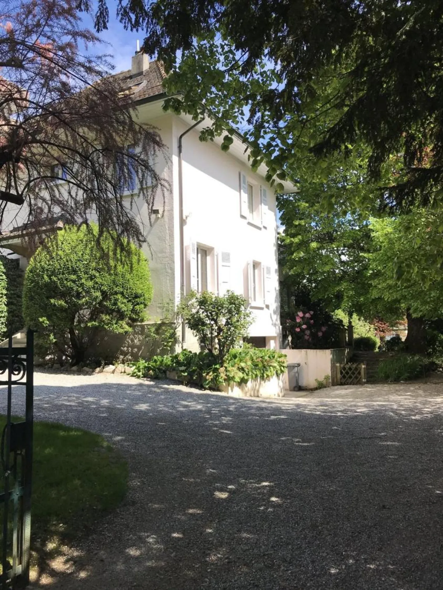 BELLISSIMA VILLA DI 9 CAMERE A PETIT SACONNEX CON GRANDE GIARDINO E TRANQUILLA - Foto 13 di 13