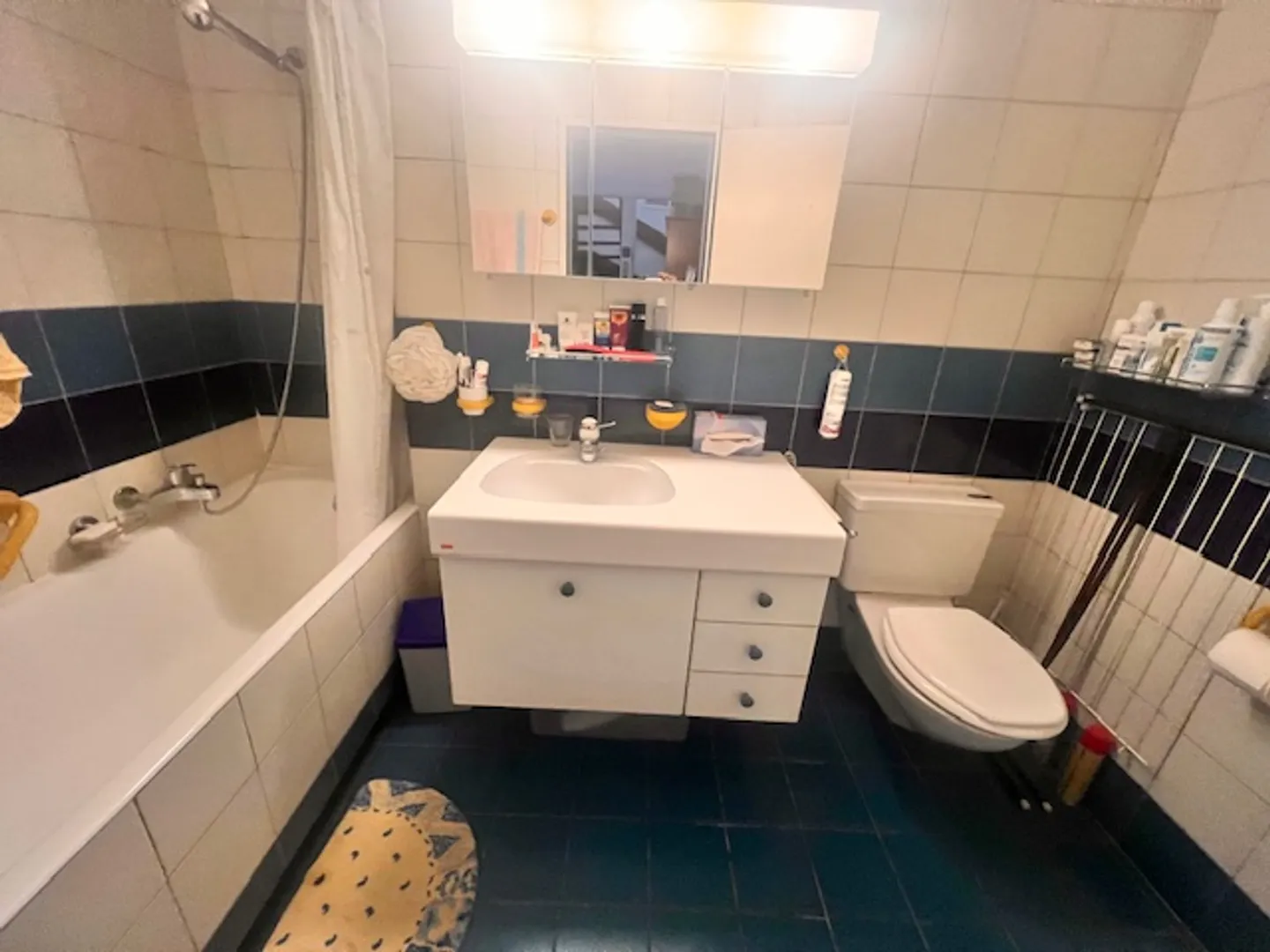 Wohnung im Zentrum von Nyon im Leibrentenvertrag - Foto 15 von 17