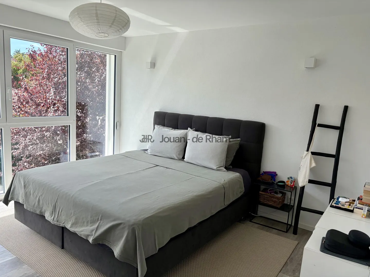 Quiet in Coppet - Modern and Bright Twin Villa - Photo 4 of 8