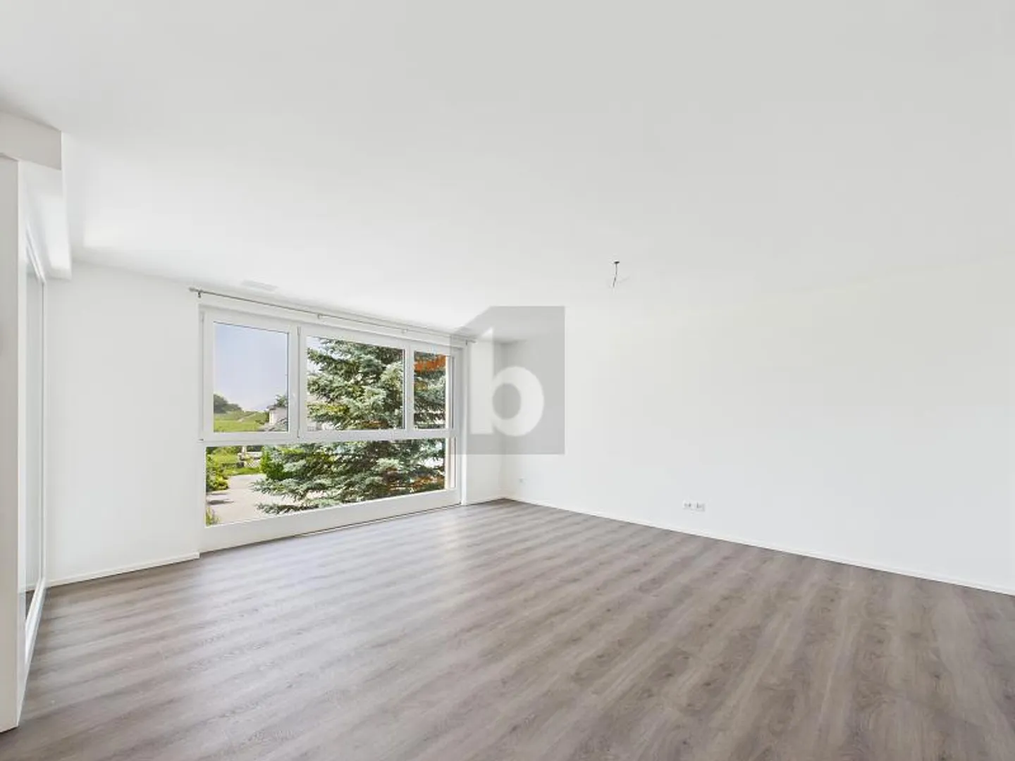 3.5 Room Apartment - Photo 4 of 6