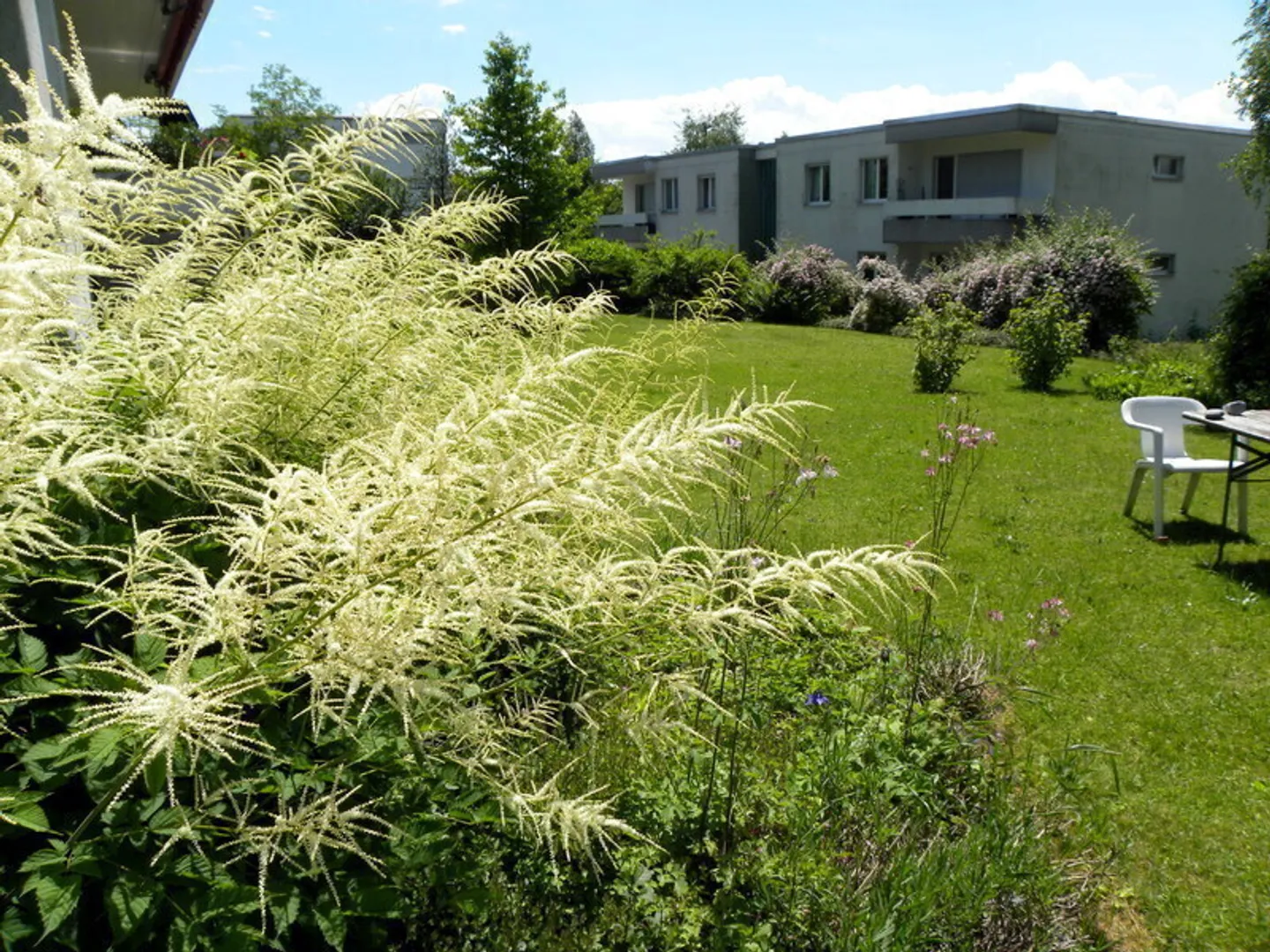 Studio Incantevole con Vista Giardino - Foto 8 di 9