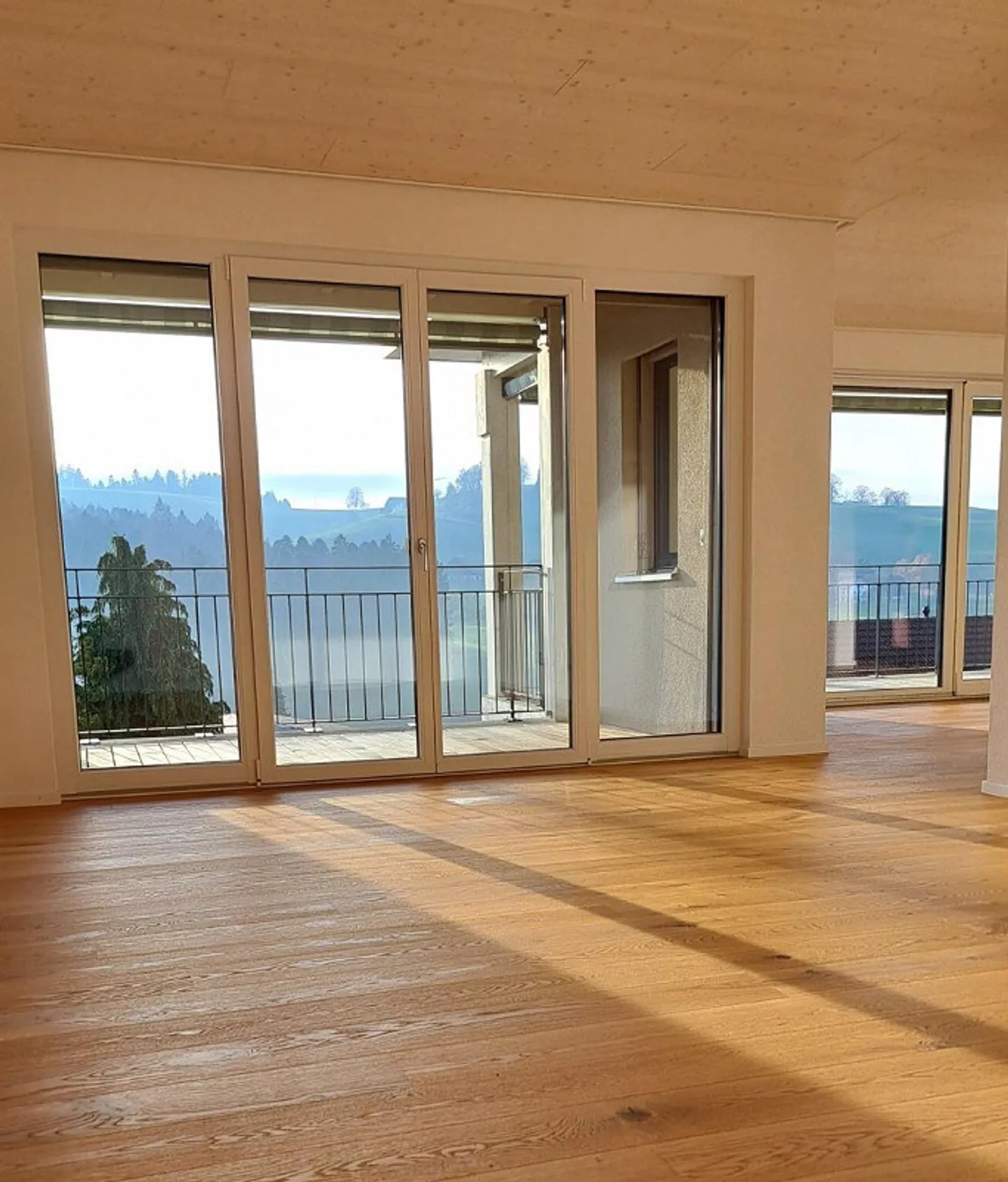 Modern 3.5 Room Penthouse with Panoramic View in Fischbach LU - Photo 1 of 10