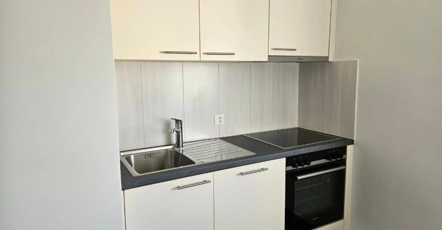 Renovated 4-room apartment on the 7th floor n47 - Photo 1 of 9