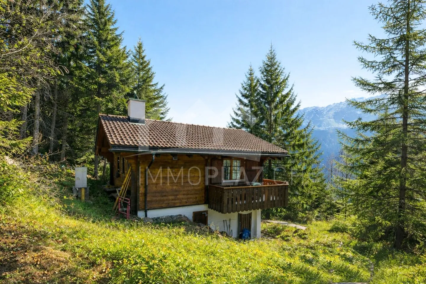 Charmantes Chalet in Savognin - Foto 2 von 6