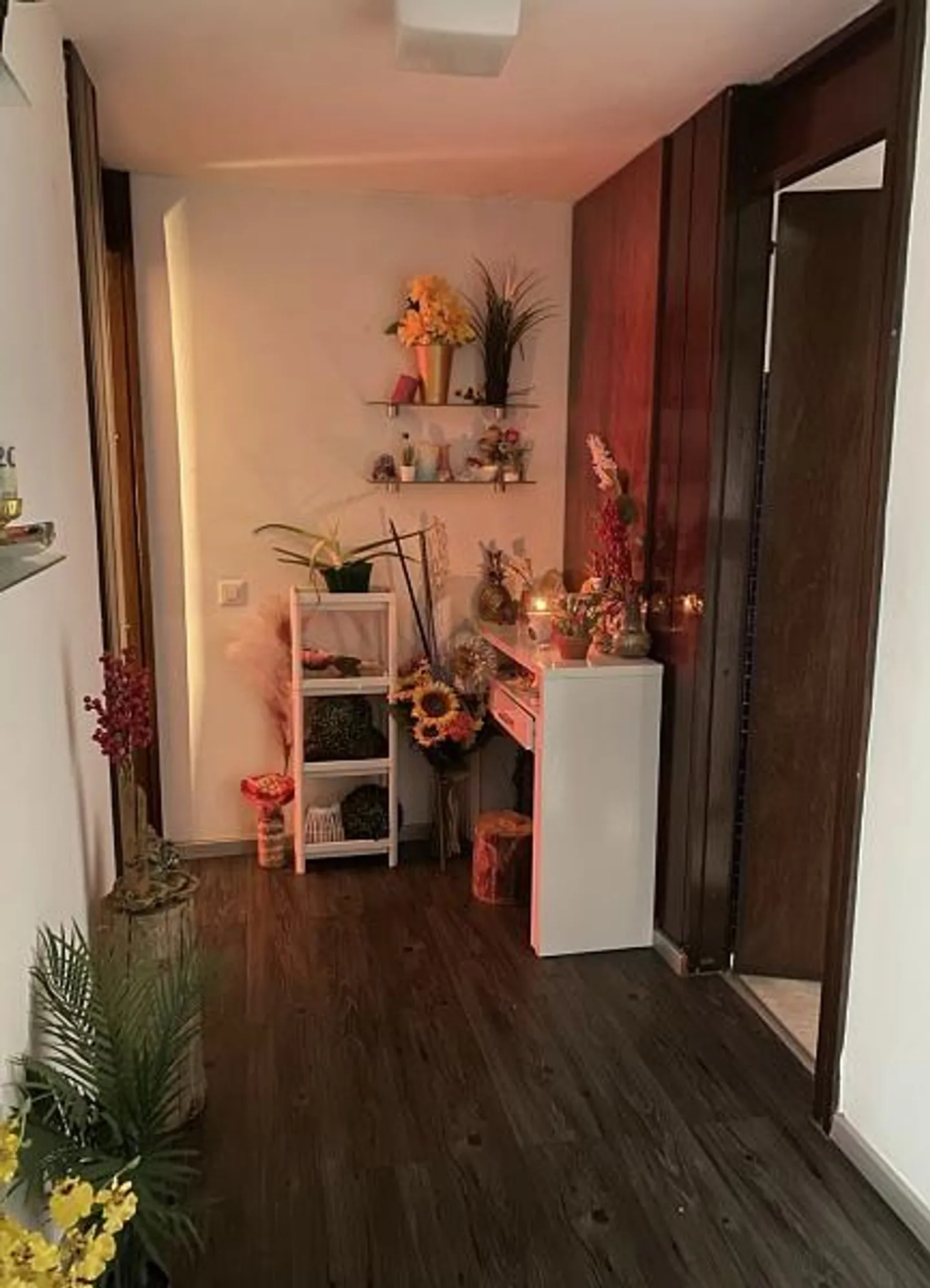 SPLENDIDO CENTRO ESTETICO CENTRO LUGANO IN VENDITA - Photo 3 of 6