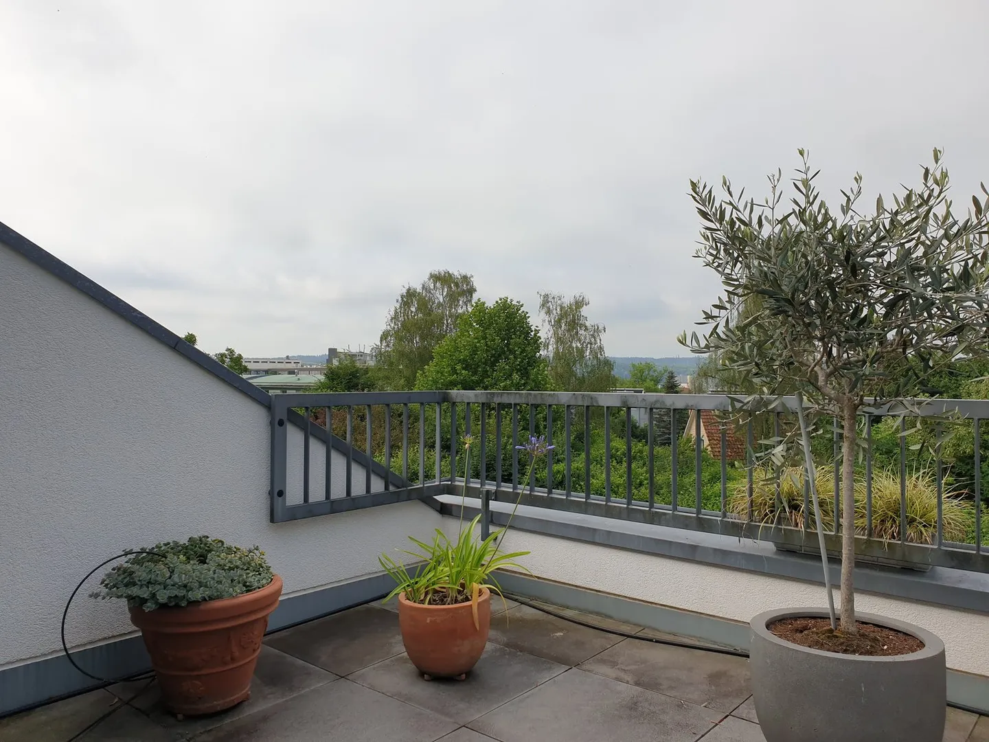 Quiet residential oasis for your family in the preferred Hofmatt district - Photo 16 of 19