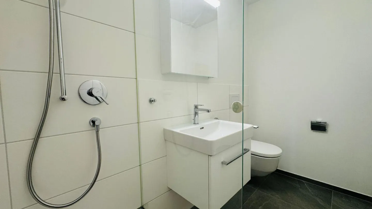 Renovierte 2.5-Zimmer-Wohnung - Foto 12 von 19