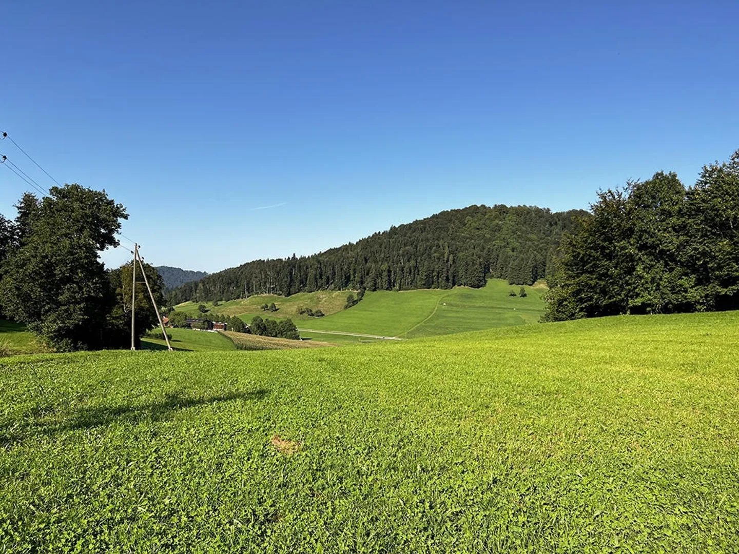 BÄRETSWIL - FANTASTICO APPARTAMENTO MAISONETTE - 2.5 STANZE - Foto 2 di 5
