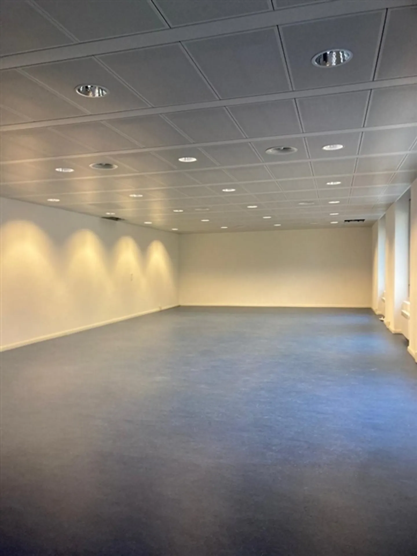 Gewerbeflächen / Lager in Giubiasco zu vermieten - Foto 1 von 2