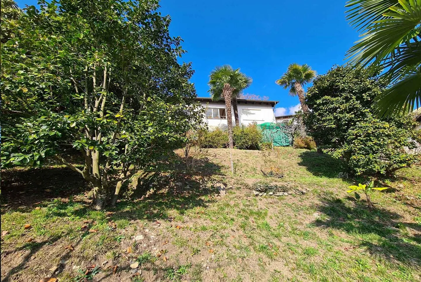 AFFAIRE - GRAND TERRAIN CONSTRUCTIBLE AVEC VUE SUR LE LAC À LOCARNO - Photo 1 sur 5