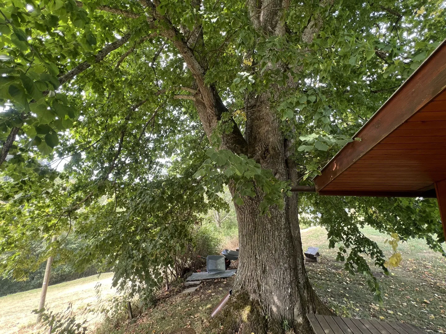 Vivre sainement dans un paradis naturel - Photo 2 sur 50