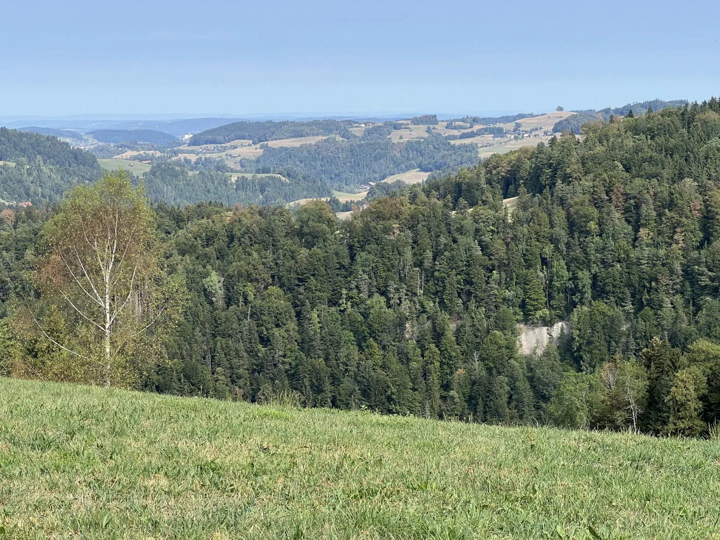 Vivre sainement dans un paradis naturel - Photo 3 sur 50
