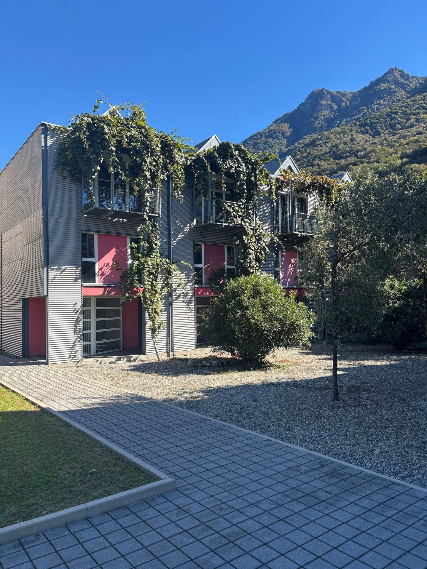 Unique Living Studios in Camorino – New Price! - Photo 1 of 11