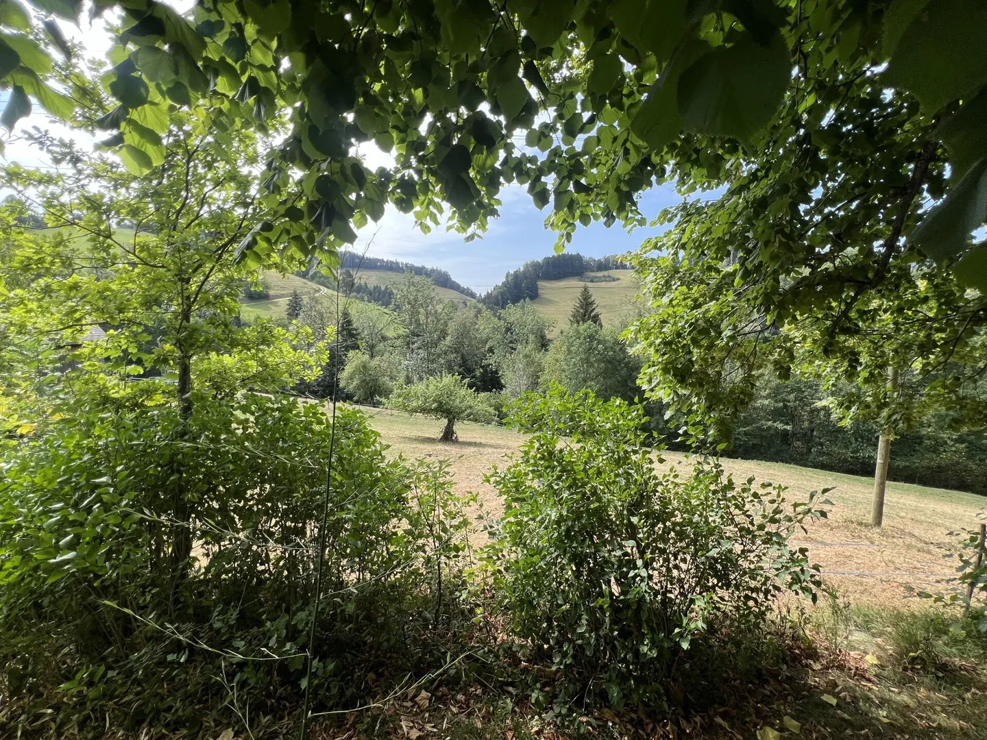 Vivre sainement dans un paradis naturel - Photo 4 sur 50