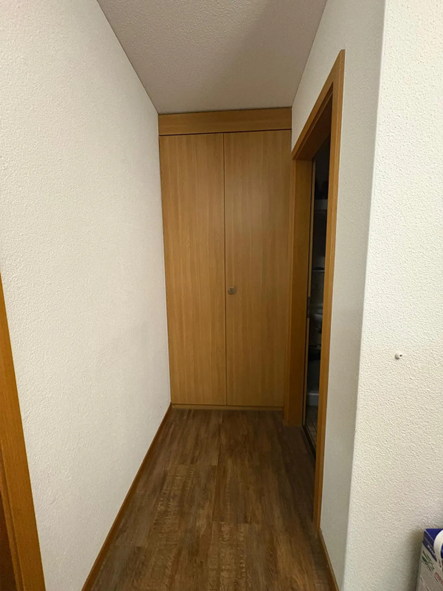 Bell'appartamento di 2,5 stanze a Oberkirch - Foto 5 di 5