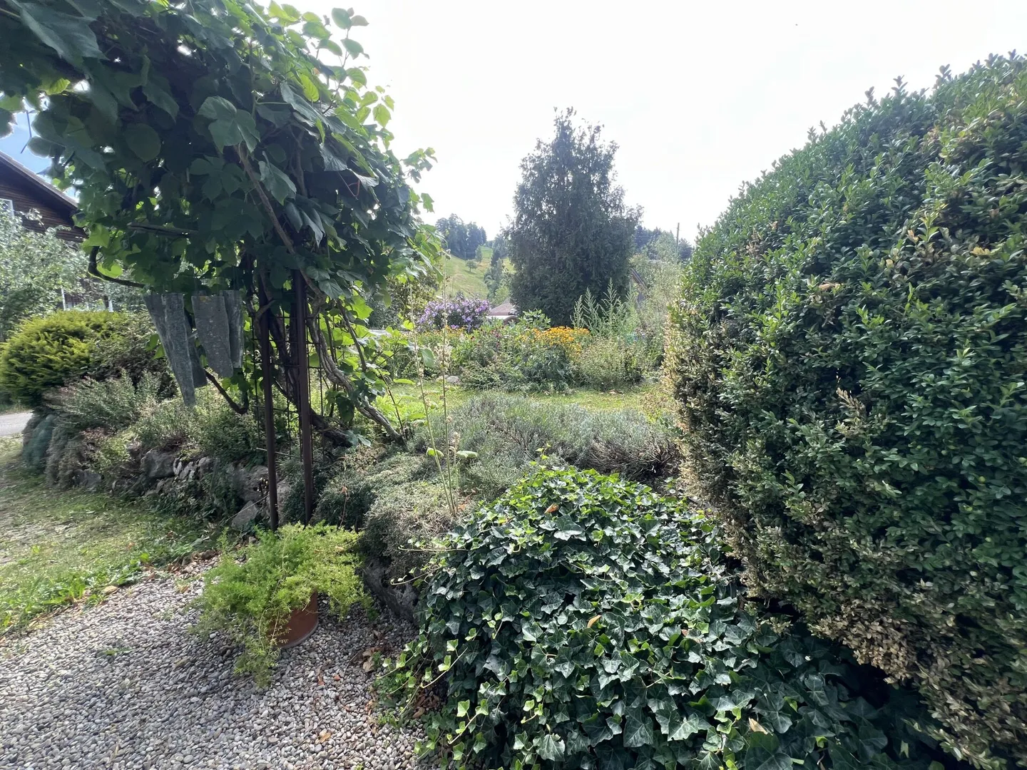 Vivre sainement dans un paradis naturel - Photo 5 sur 50