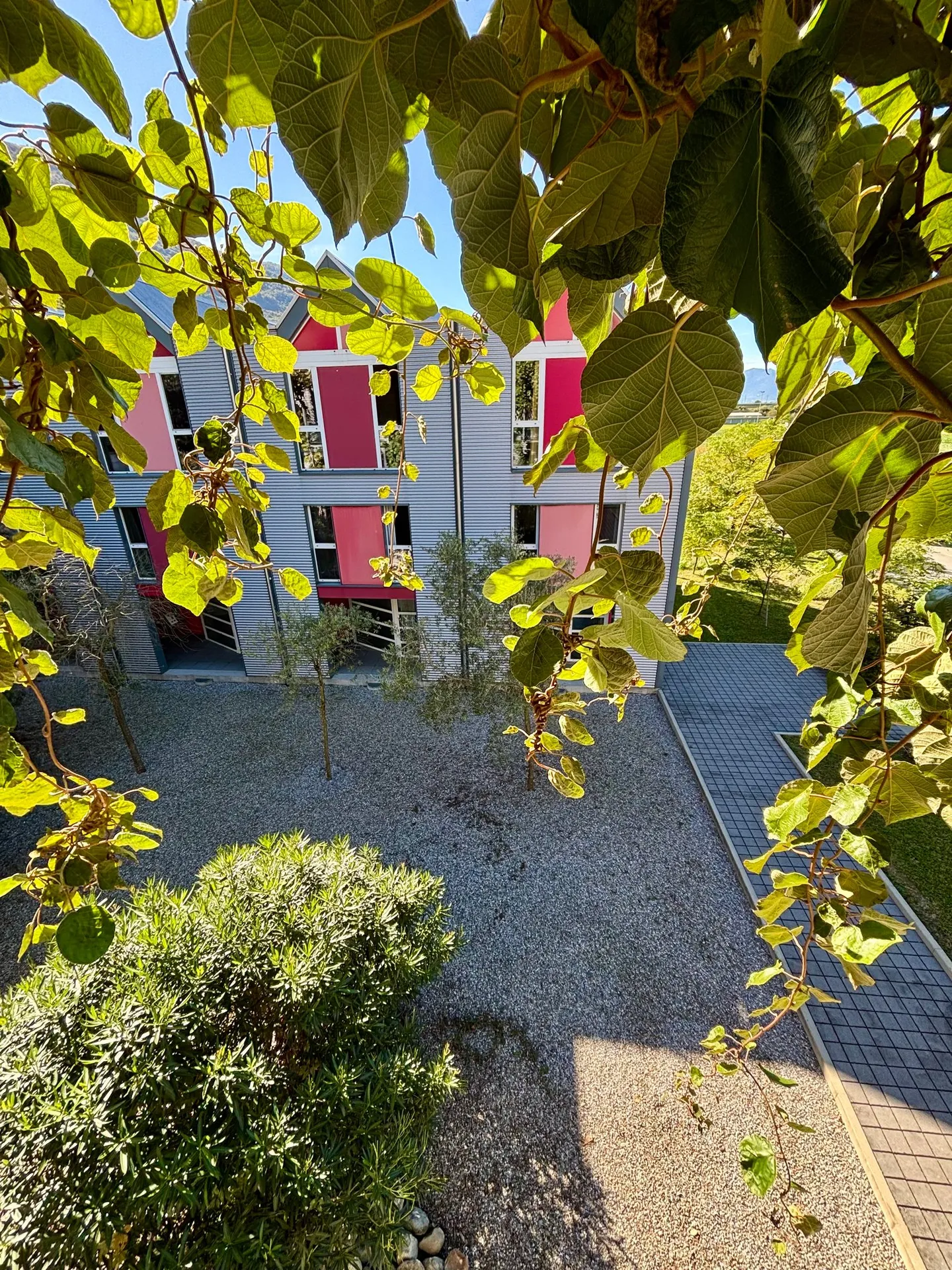 Unique Living Studios in Camorino – New Price! - Photo 9 of 11