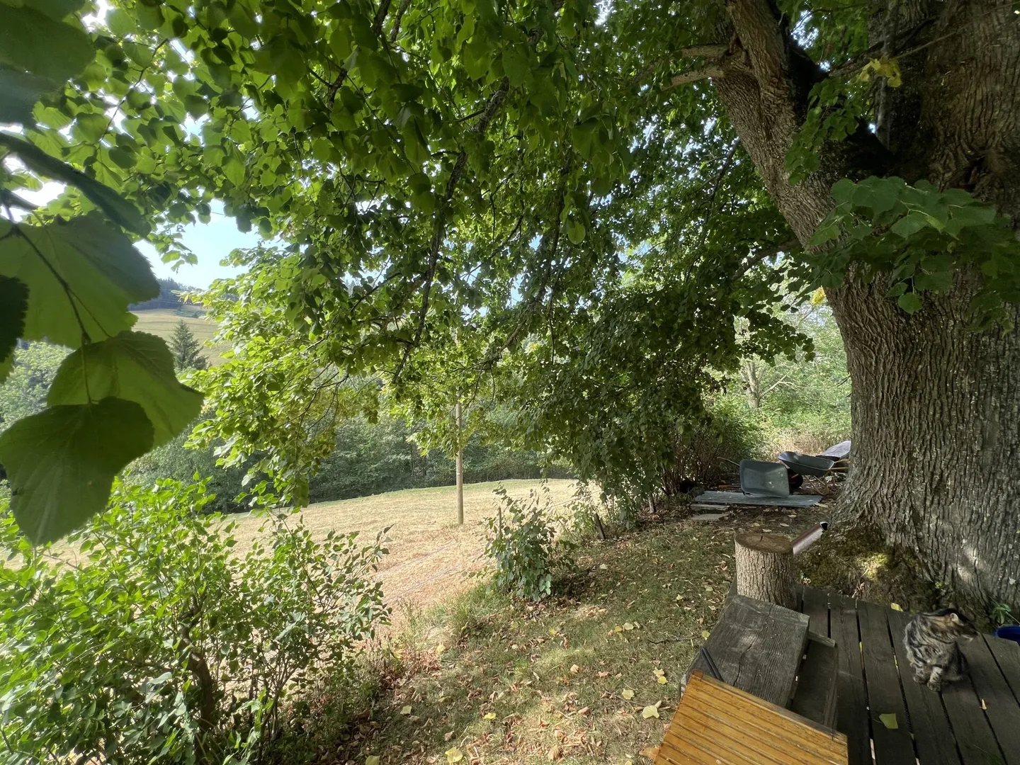 Vivre sainement dans un paradis naturel - Photo 6 sur 50