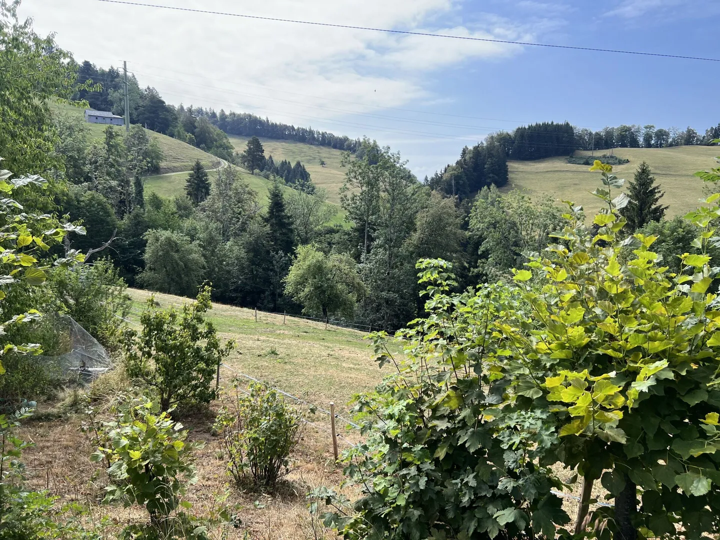 Vivre sainement dans un paradis naturel - Photo 7 sur 50