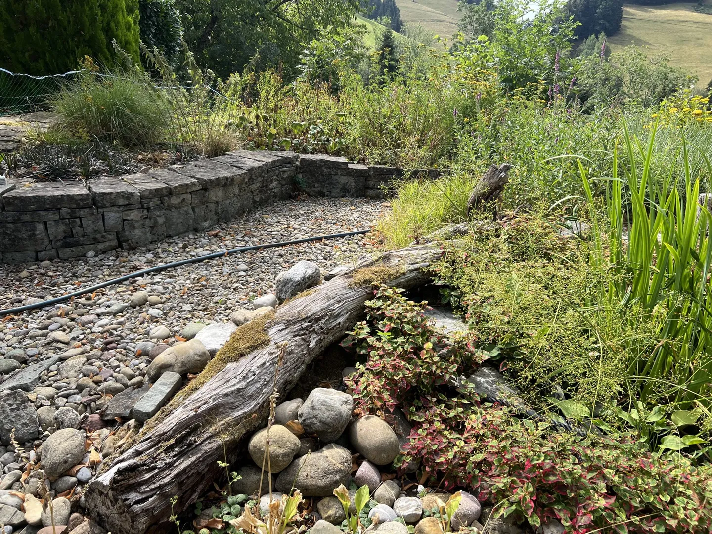 Vivre sainement dans un paradis naturel - Photo 9 sur 50