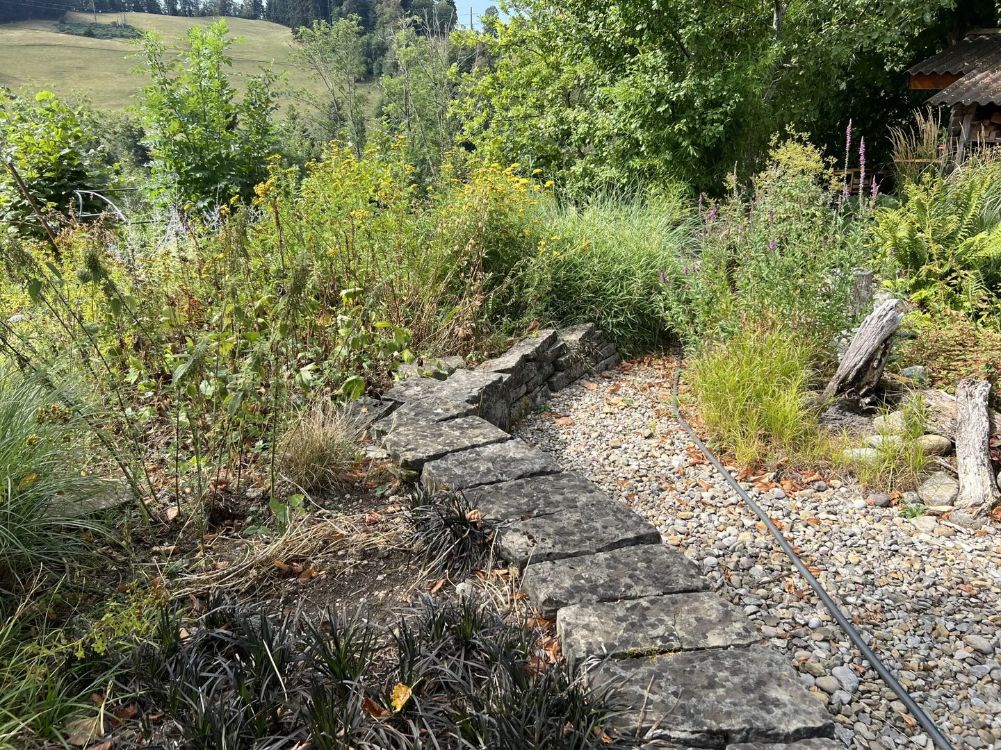 Vivre sainement dans un paradis naturel - Photo 10 sur 50