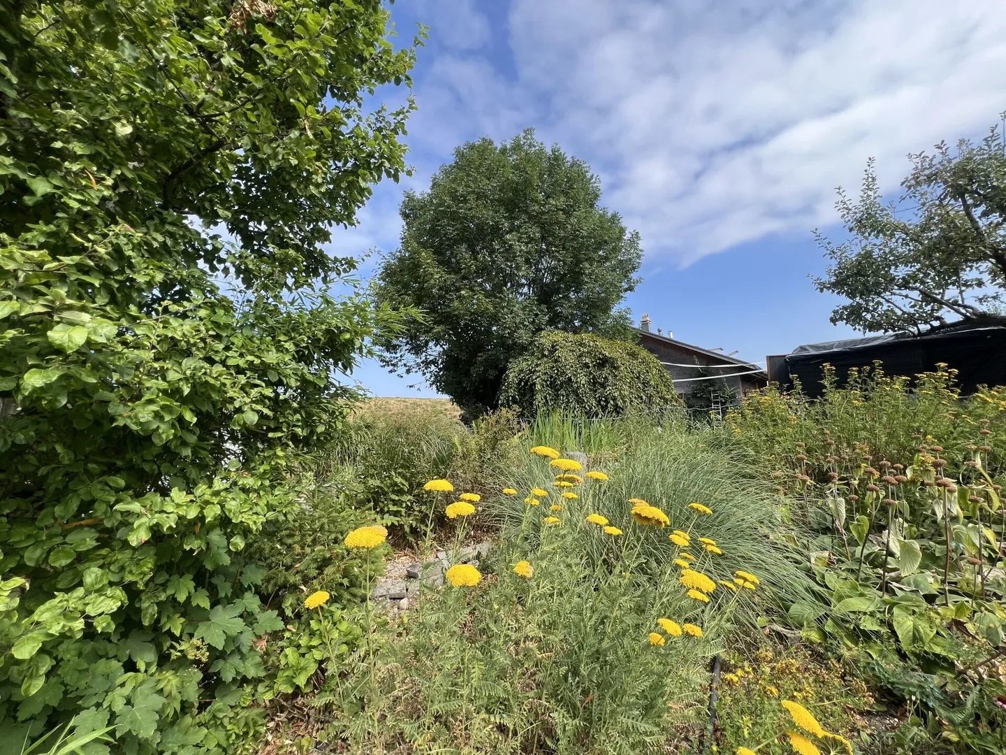 Vivre sainement dans un paradis naturel - Photo 16 sur 50