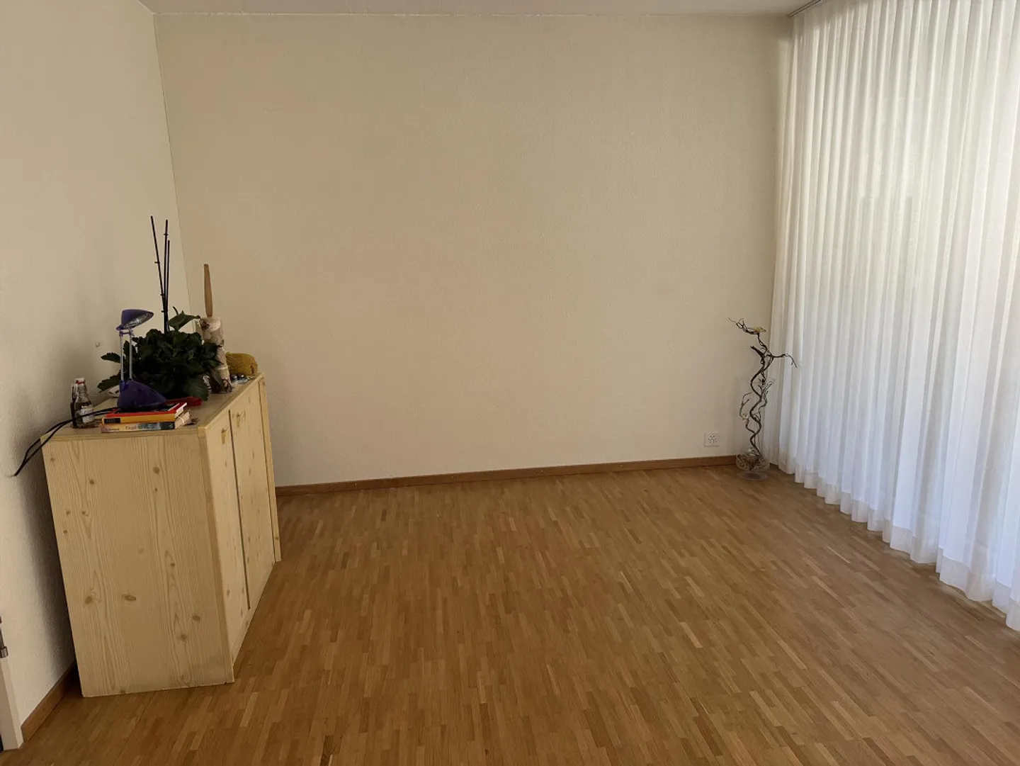 2.5-Room Apartment with Loggia - Photo 4 of 8
