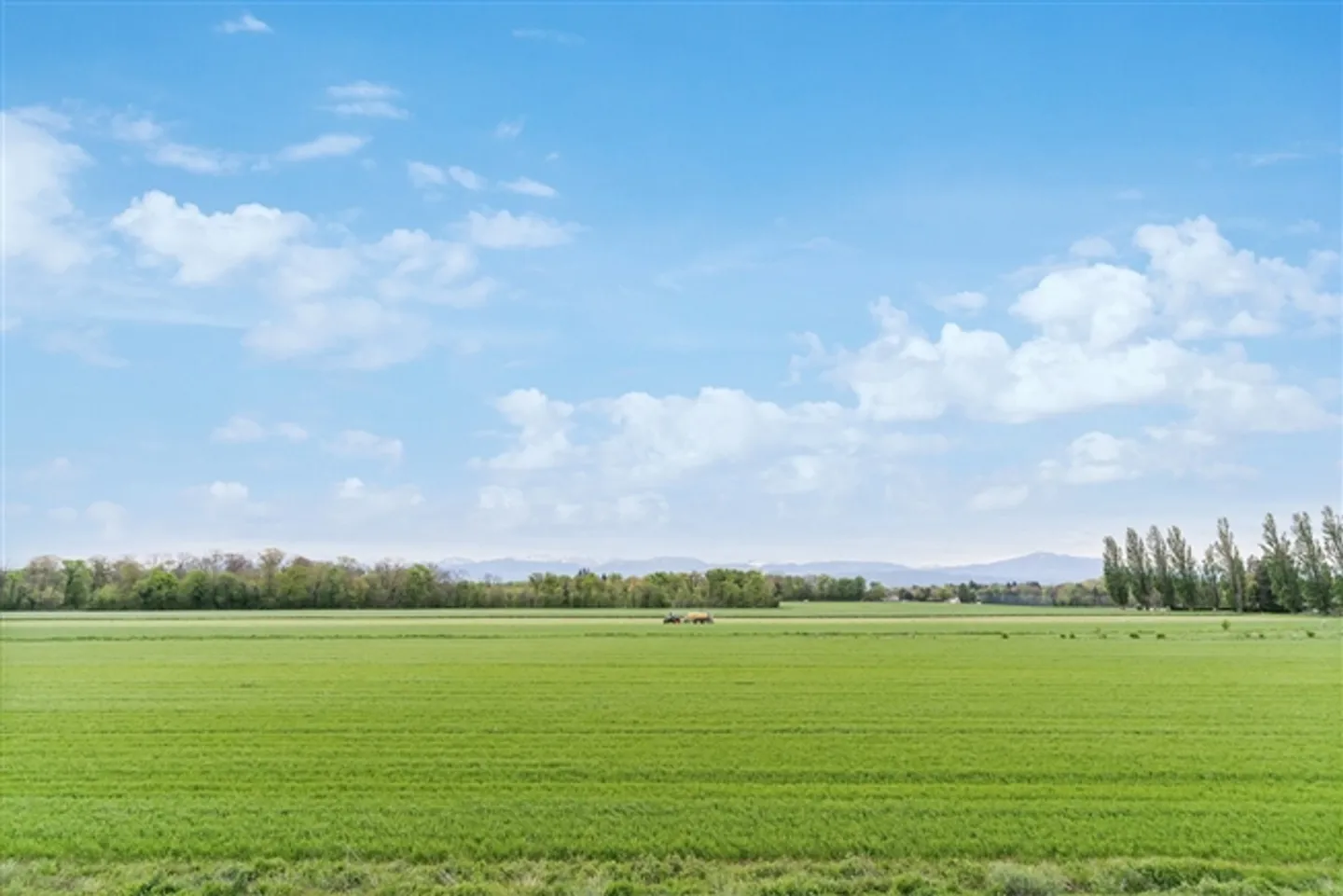 Espace Bureau Moderne à Gland - Photo 7 sur 7