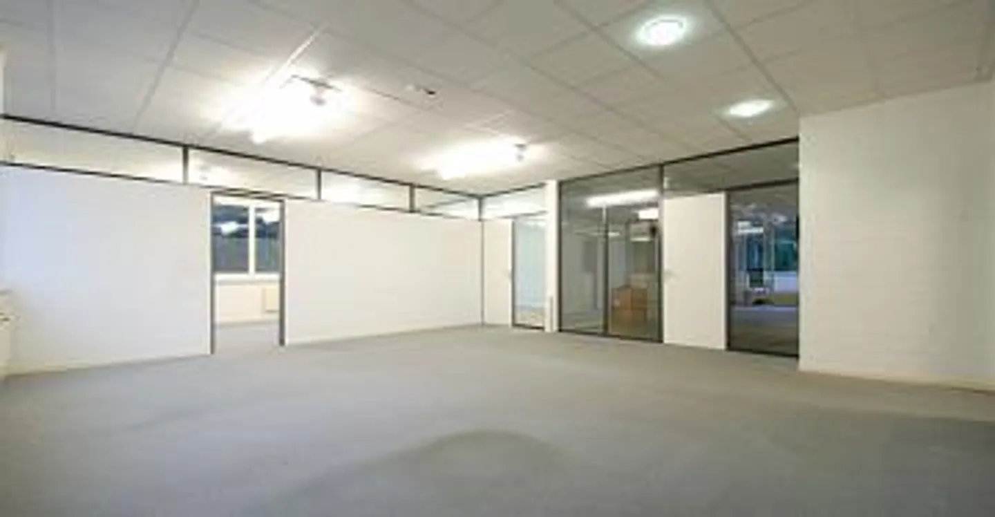 gewerbeflächen in diversen Grössen zu vermieten - Foto 9 von 10