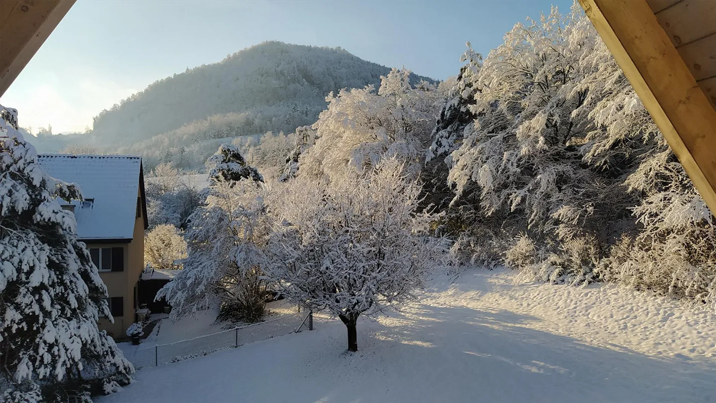 Attico a Diegten - Foto 9 di 12