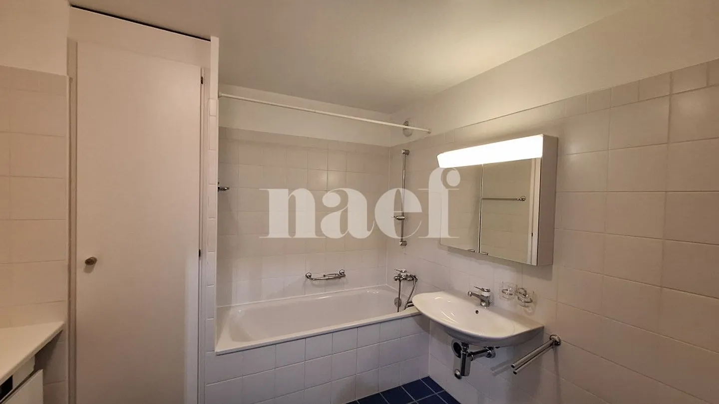 Appartement 4.5 pièces - Photo 11 sur 13