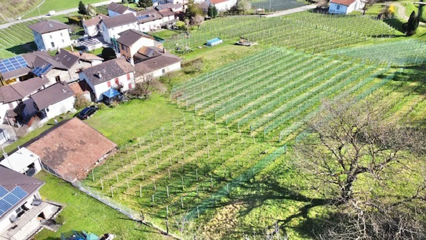 Sale in Camorino (Core) - Buildable Plot with Property - Photo 7 of 8