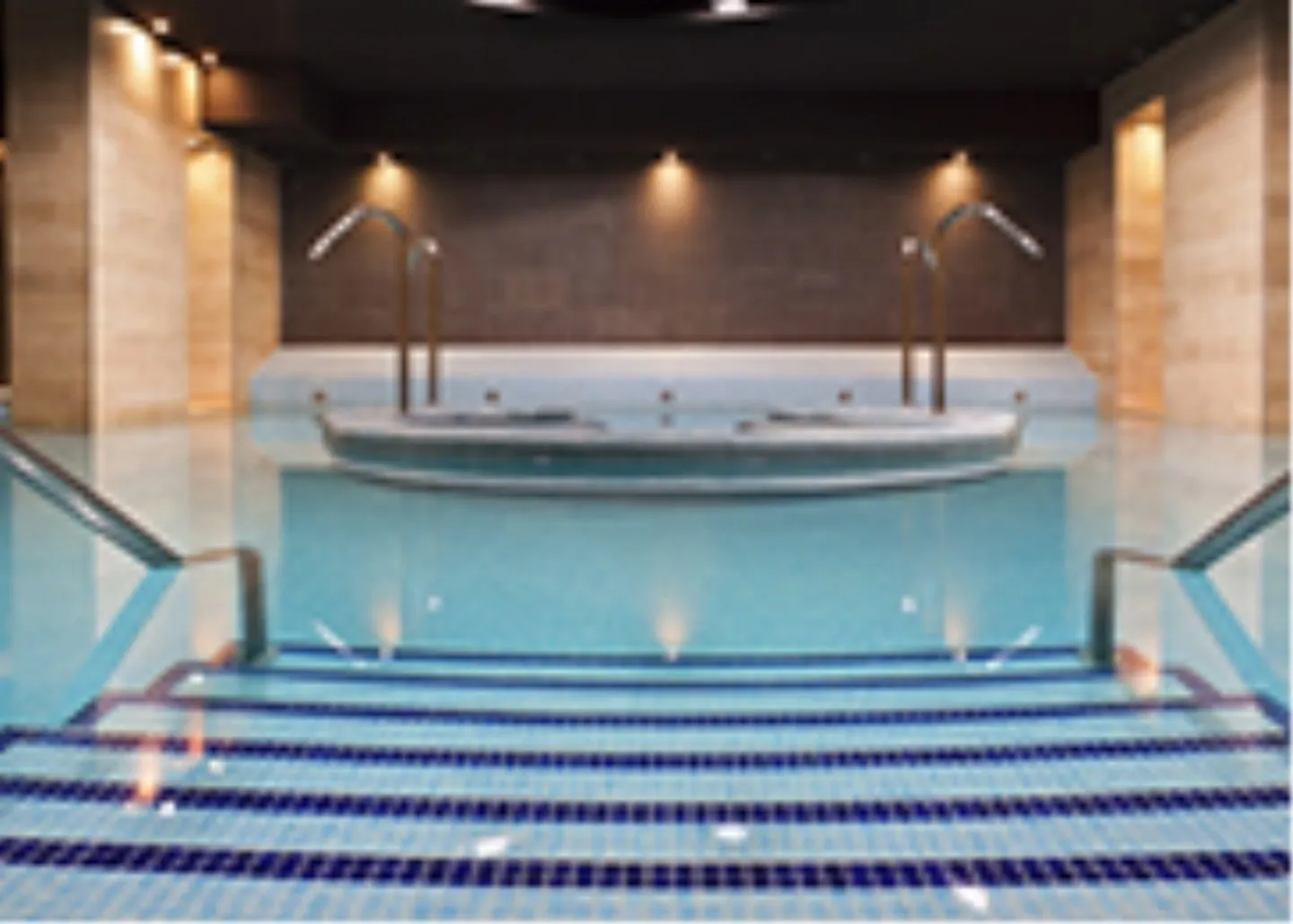 FRENCH-SPEAKING SWITZERLAND excellent company specializing in the installation of spas for sale - Photo 1 of 1