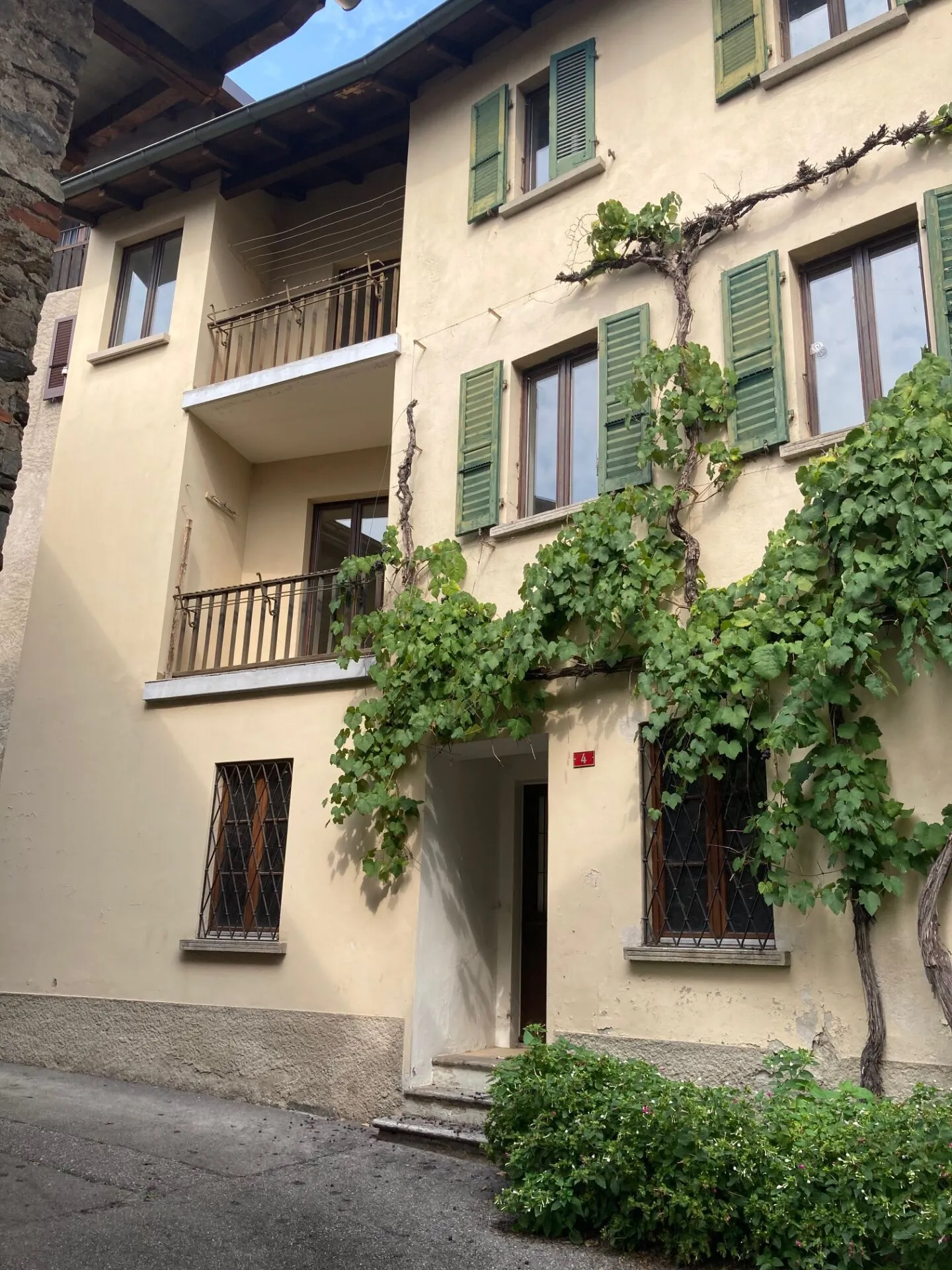 Lamone - Casa bifamiliare con grande vigneto e stalla separata - Foto 1 di 2