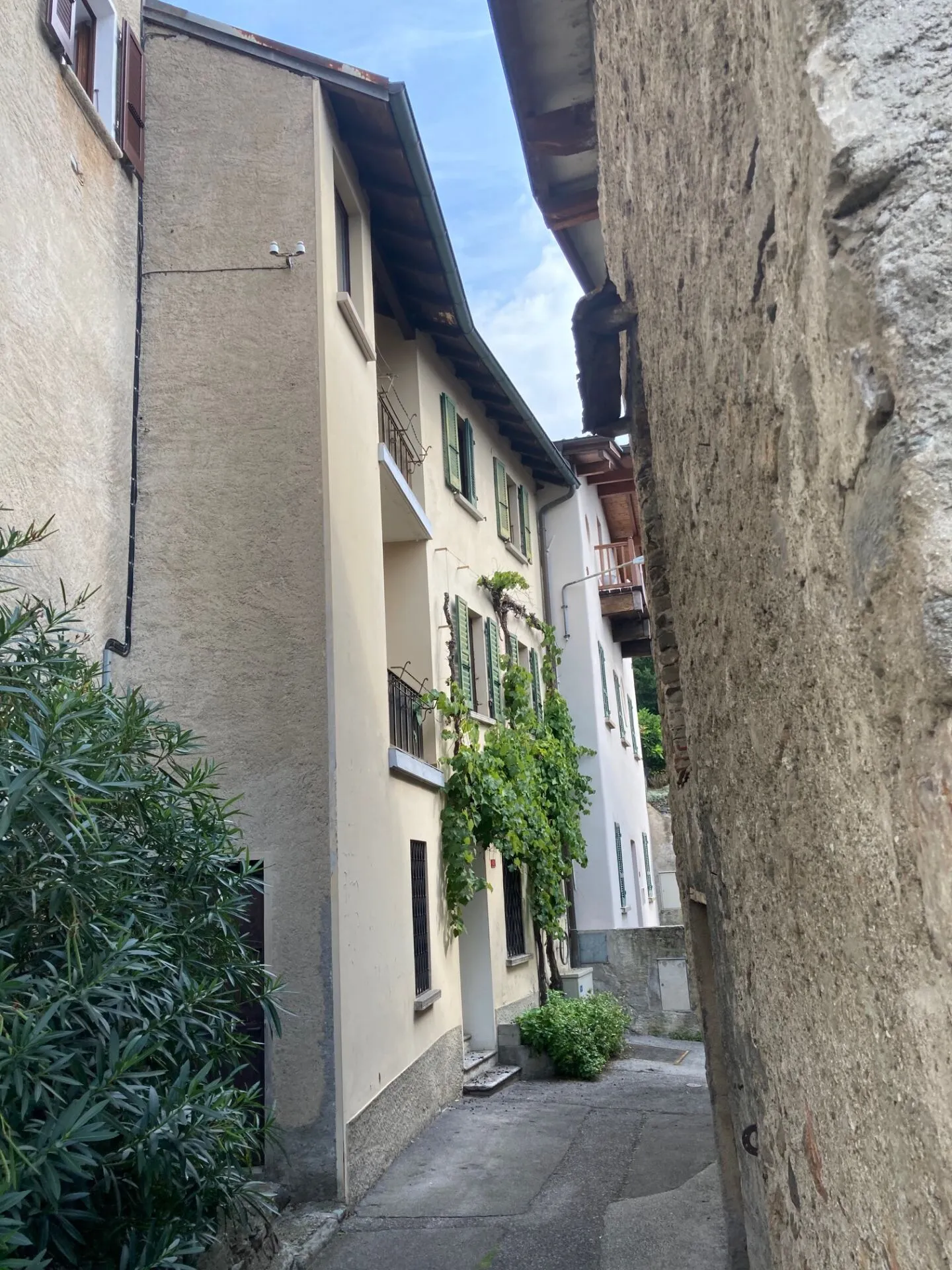 Lamone - Casa bifamiliare con grande vigneto e stalla separata - Foto 2 di 2