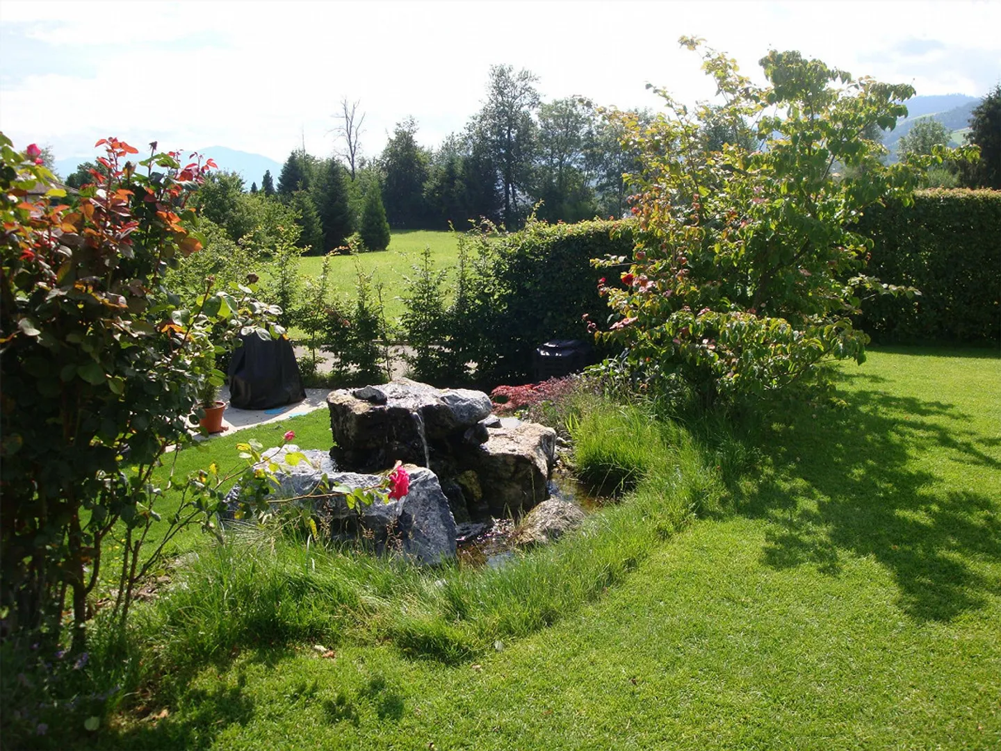 61/2 Single Family House - Photo 4 of 13