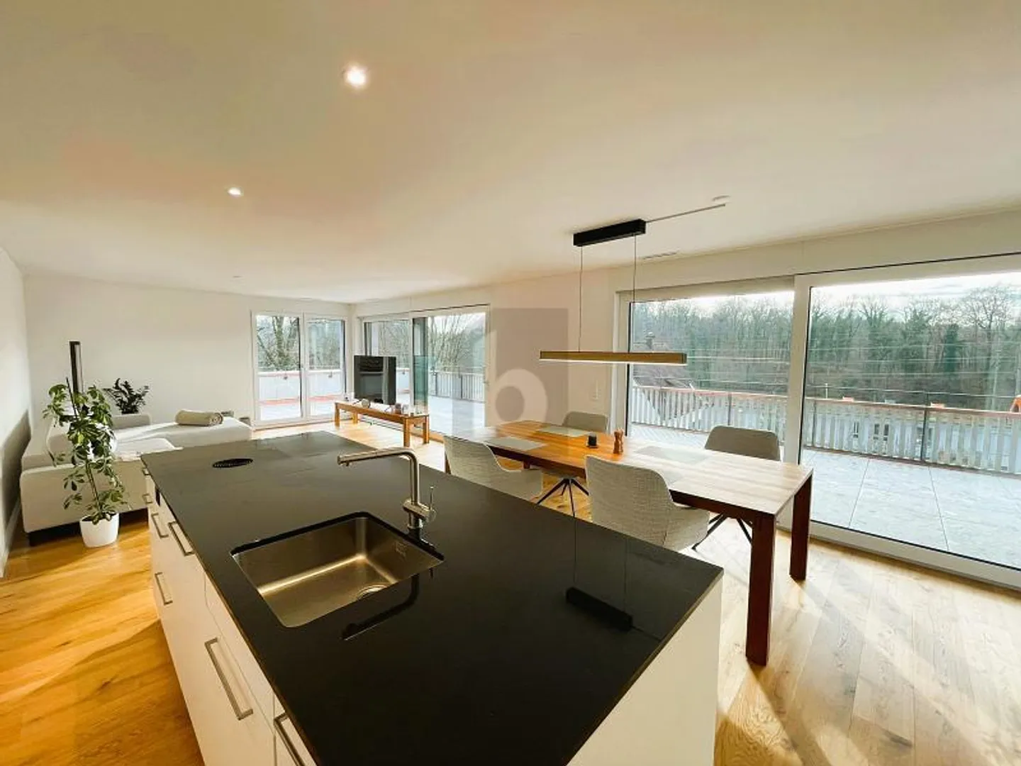 DREAMLIKE VIEW OF WILDEGG CASTLE - Photo 2 of 6