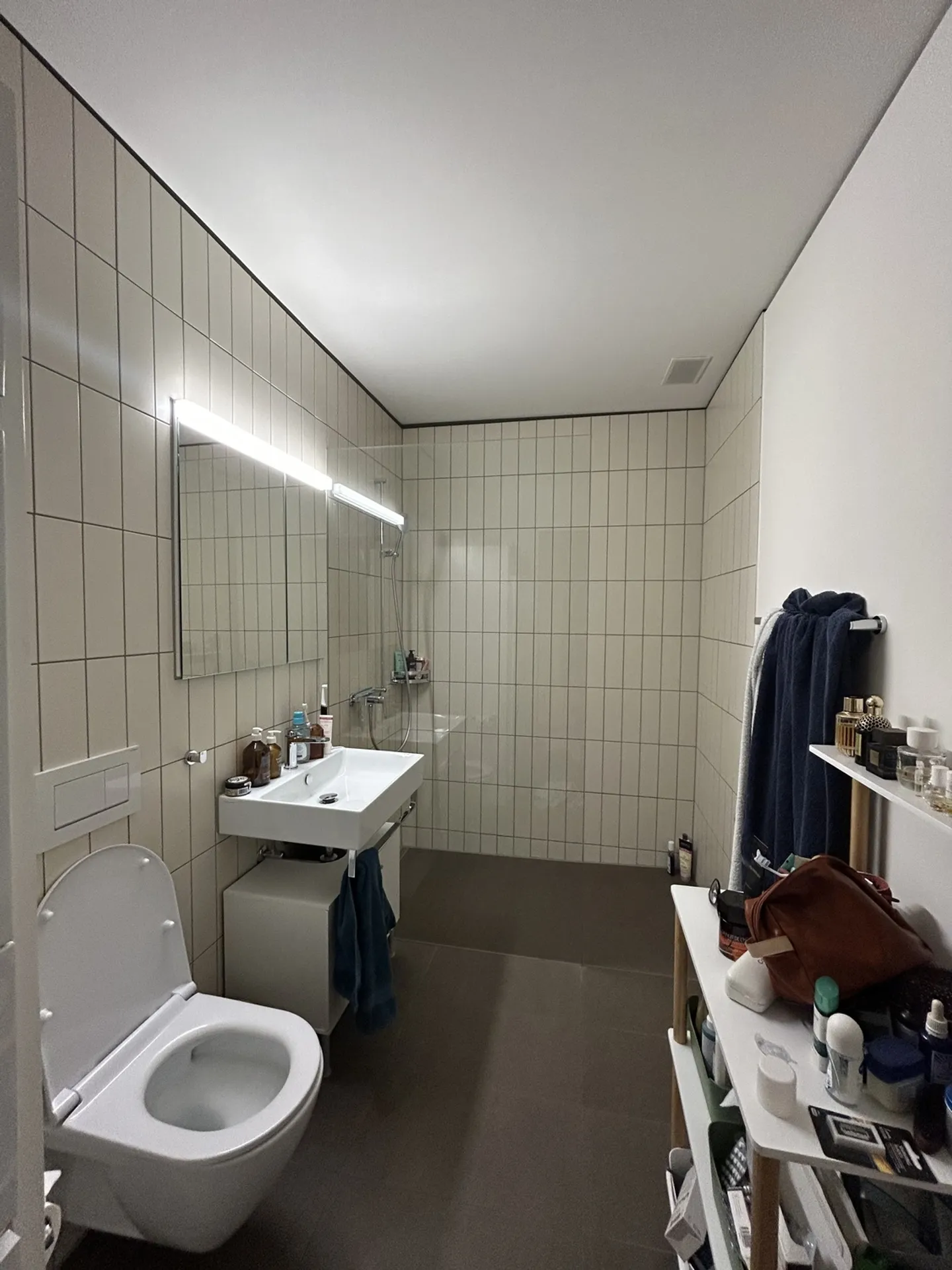 APPARTAMENTO 3½ STANZE A ZURIGO - DISTRETTO 9 ALBISRIEDEN, ARREDATO, TEMPORANEO - Foto 10 di 10