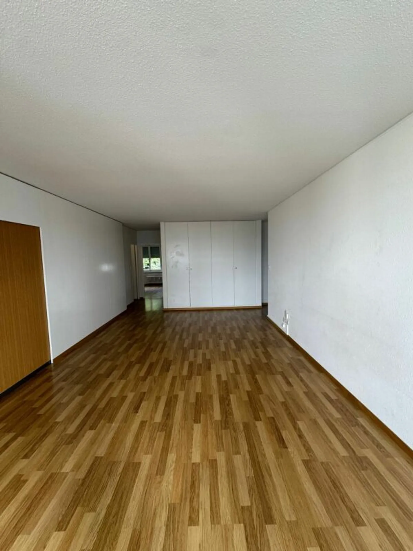 In affitto: spazioso appartamento di 3,5 stanze disponibile subito! - Foto 3 di 11