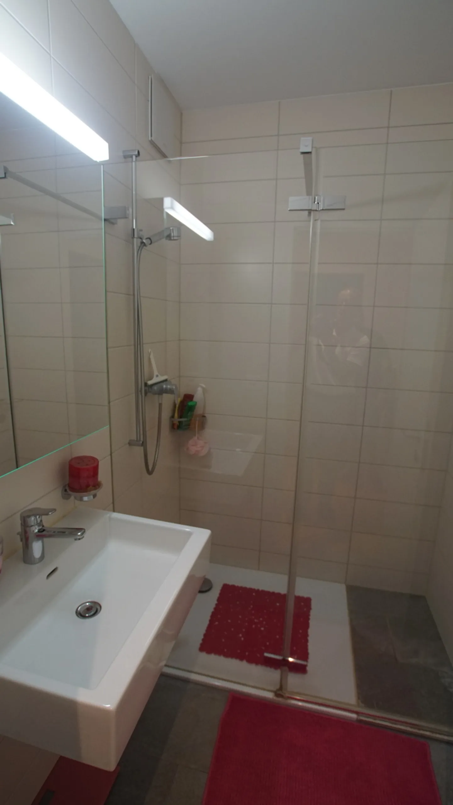 Duplex Apartment 4.5 Rooms with Terrace and Garden - Photo 5 of 6