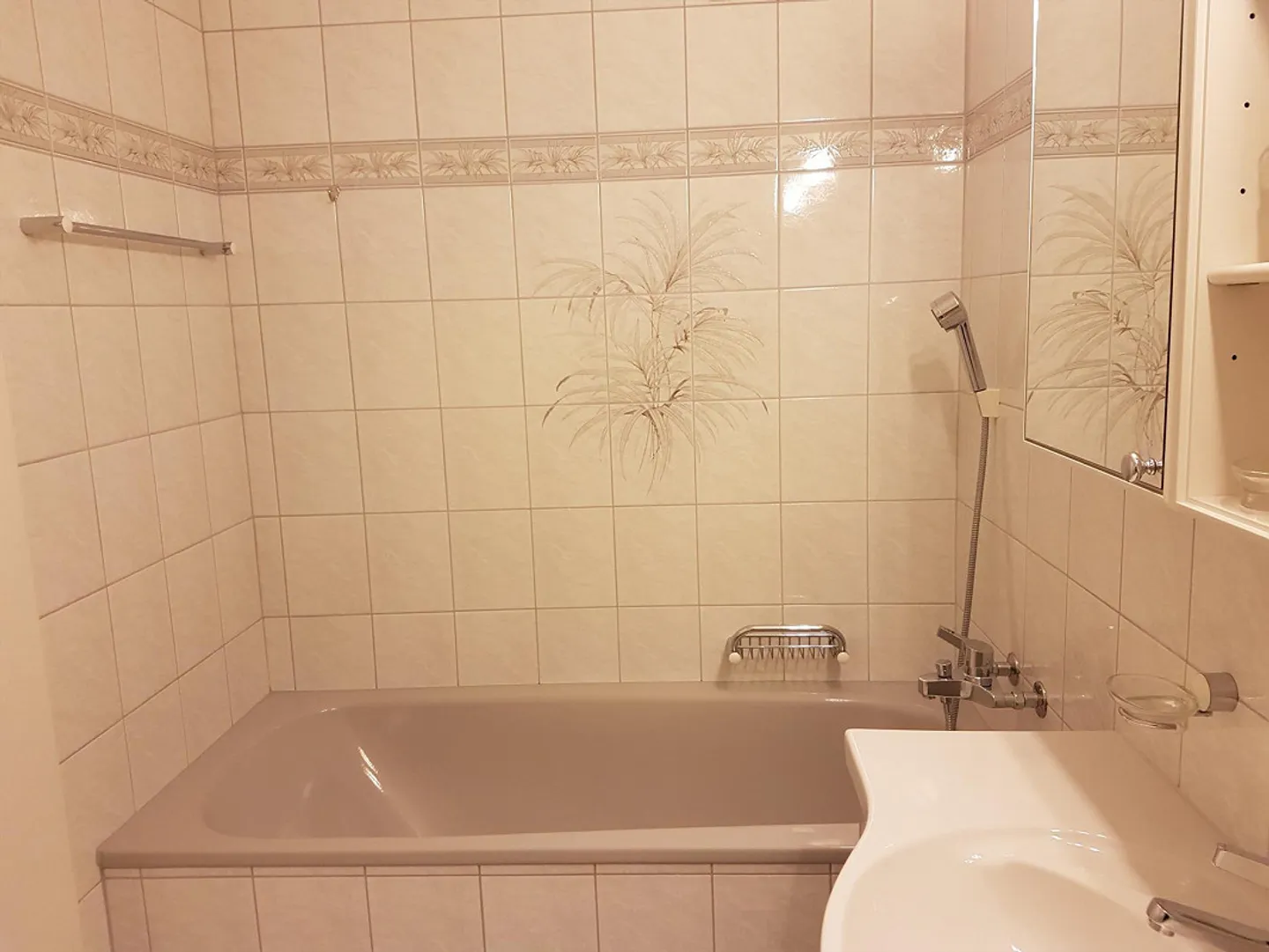 Helle 4,5-Zimmer-Wohnung in zentraler und ländlicher Lage. - Foto 12 von 14